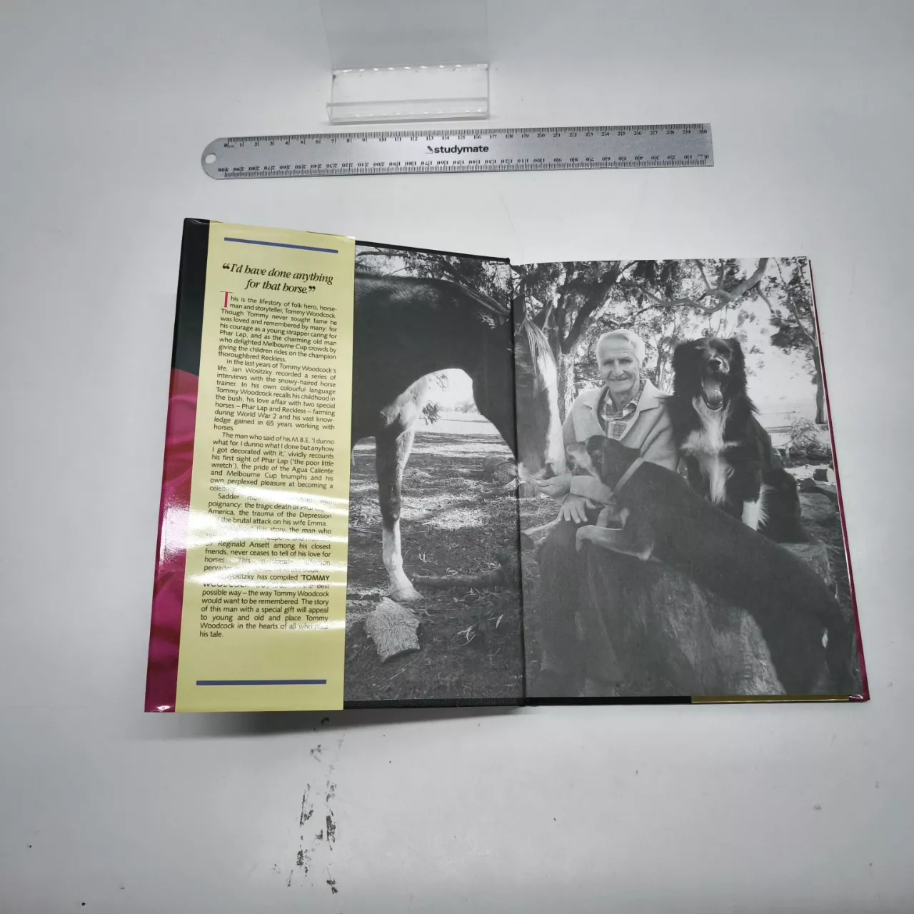 Image Tester