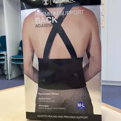 Wagner Adjustable Premium Back Support
