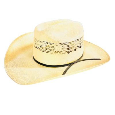 BNWT Wrangler Straw Hat