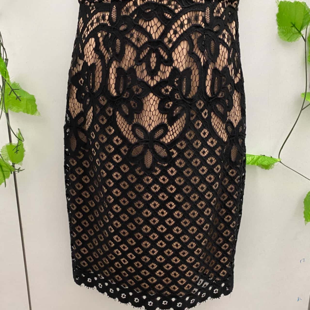 Womens PORTMANS Black/Blush Lace Dress(s) - Used Very Good | Salvos Stores
