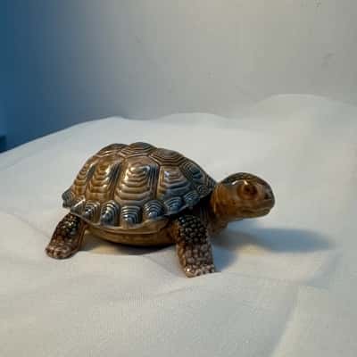 WADE Porcelain - Turtle Trinket Box 