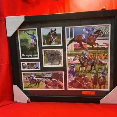 Limited Edition WINX Racehorse Memorabilia Collage - Numbered Print