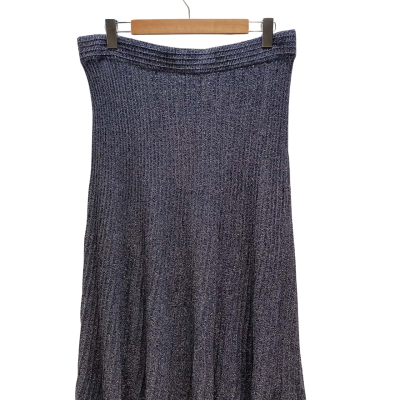 Liz Jordan Womens Size 16 Blue & Silver Skirt