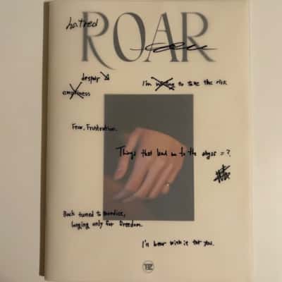 THE BOYZ's 8th mini-album ROAR (B15)