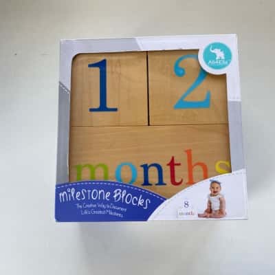 All 4 Ella Milestones Blocks 
