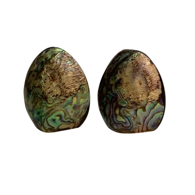 Pair of Paua Shell NZ Salt and Pepper Shakers 