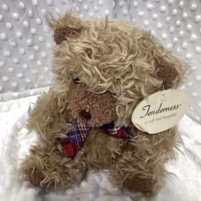 Tomfoolery Little Nutmeg Teddy Bear Plush Brown Curly Soft Cuddle Toy 18cm Tag