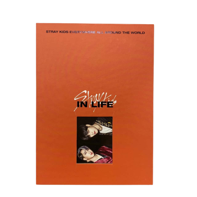 Stray Kids In Life 