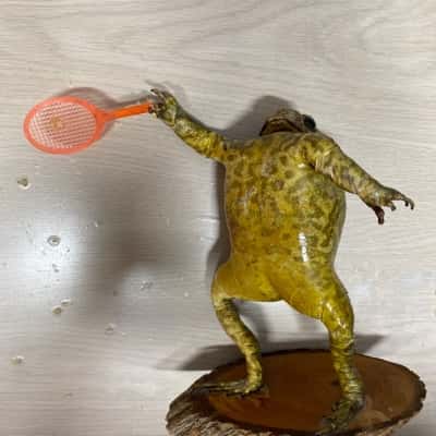 Frog Tennis Statue