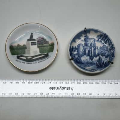 Vintage Souvenir Plates Lot Royal Stafford Dog On Tucker Box Swinnertons Windsor