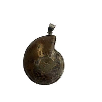 AMMONITE FOSSIL - Necklace Pendant 