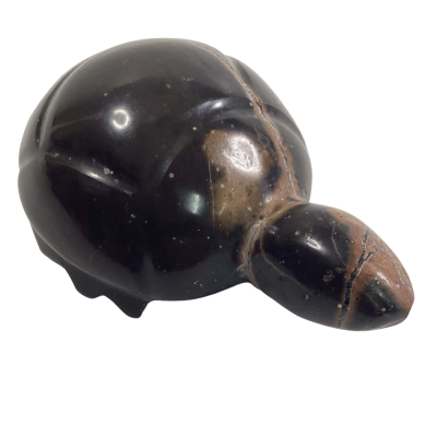Petrified wood Turtle 