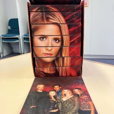 Buddy the Vampire Slayer Seasons 1-7 39 Disc DVD Set