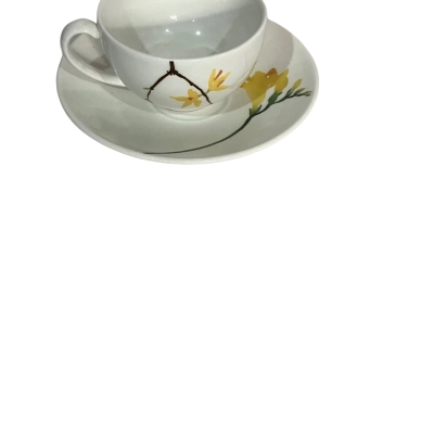 WEDGWOOD The Painted Garden Cup & Saucer set
