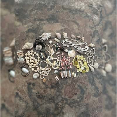 Bulk Shells And Jewelry Bundle