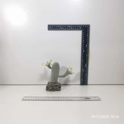 Desktop Cactus Decoration Artificial 