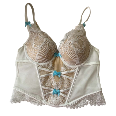 Bras N Things Size 10B Corset