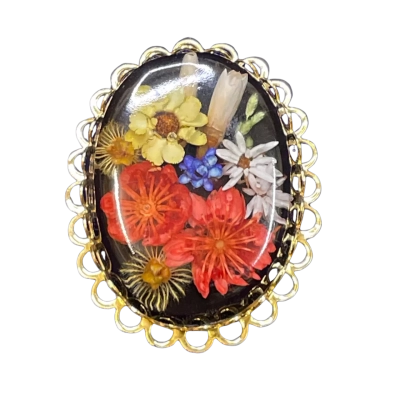 Womens Resin Scarf Clip/Brooch Black/Gold Tone/Multicoloured / Red 