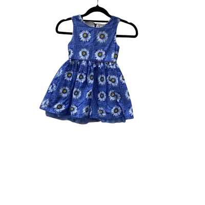 Pumpkin Patch Kids  Size 3 Dresses & Skirts Blue / Floral 