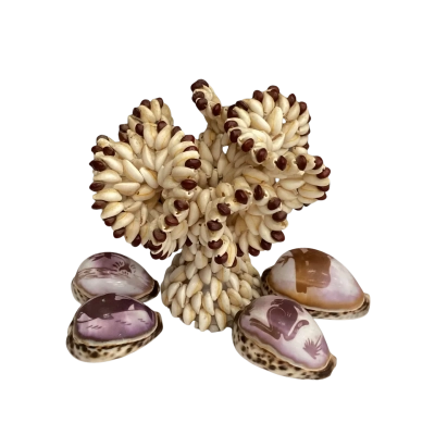 Decorative Coastal Design Decorations