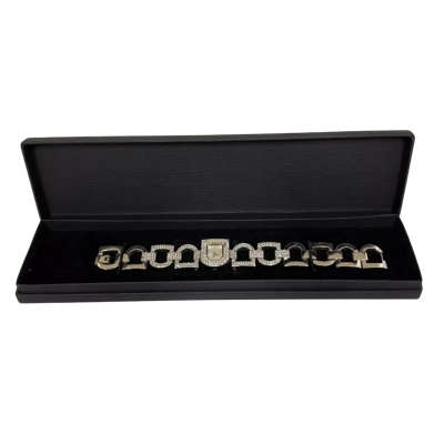 DKNY Luxury Ladies Watch 