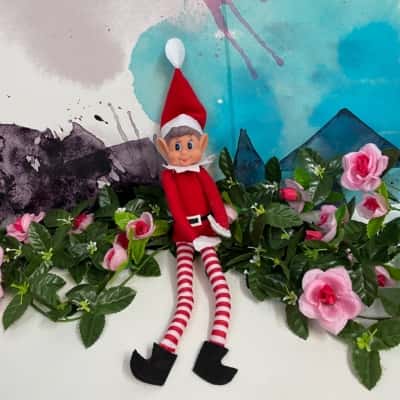 Elf on a shelf-  red male