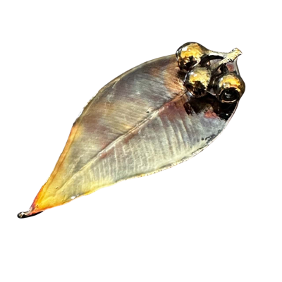 Gum Leaf  Womens Brooch Bronze 