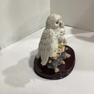 The Helena collection - Snow Owl family 