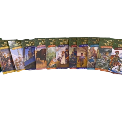 Magic Tree House Books (12)
