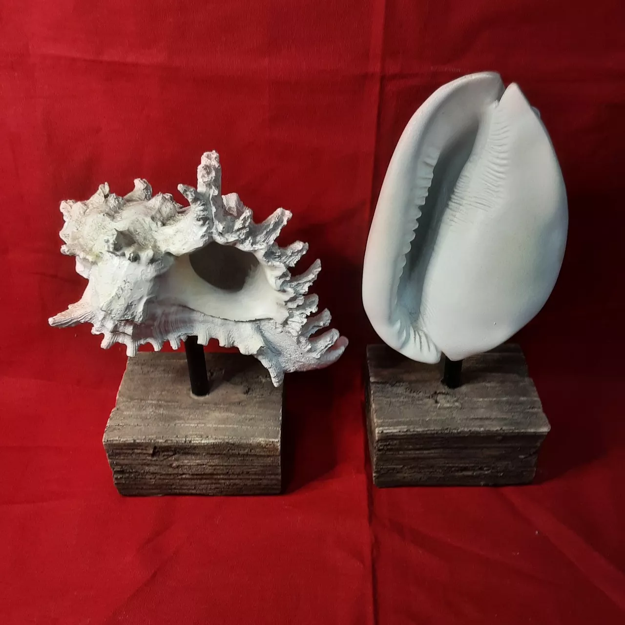 Set of 2 nautical inspired shells on display stands(s)
