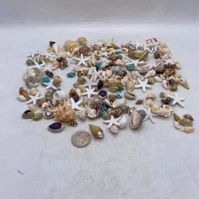 350g of Beautiful Small Replica Shells/Starfish BRICA1