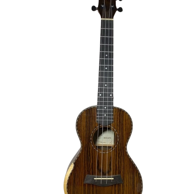 Barnes & Mullins becote concert uke