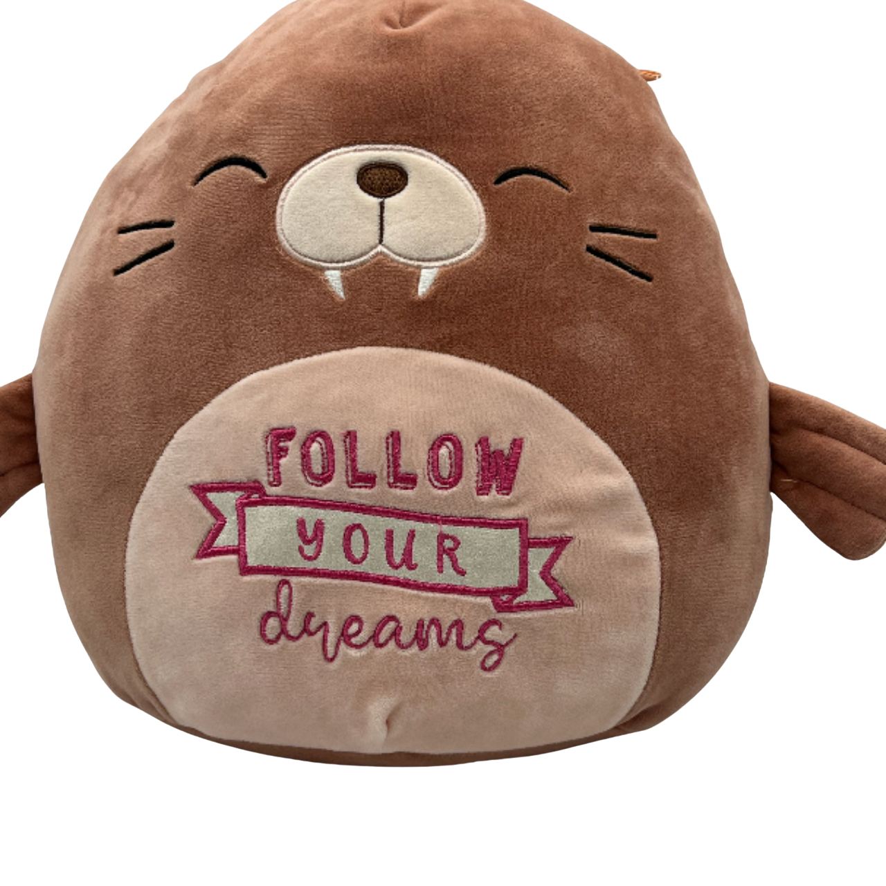 Large Follow Your Dreams Seal Squishmallow