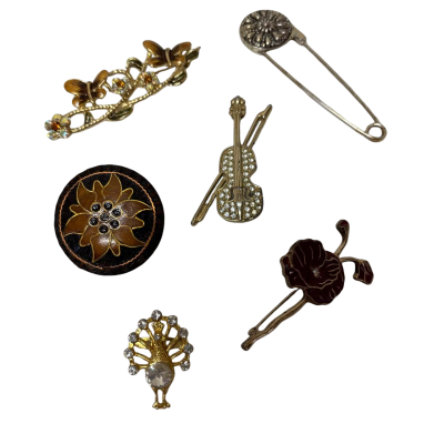  Brooch bundle of 6 assorted