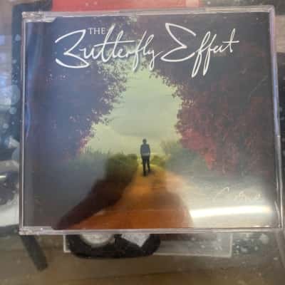 The butterfly effect