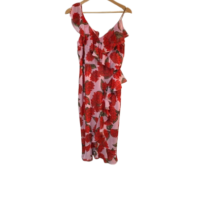 Keepsake  Size L Floral / Pink  / Red Dress