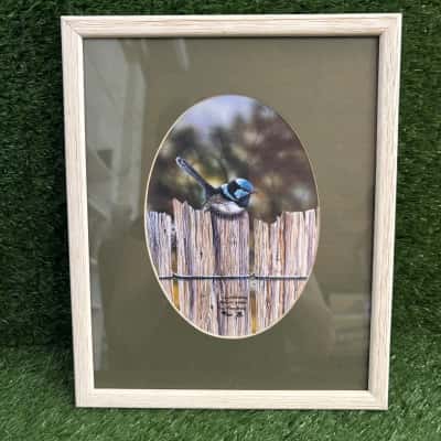 Wulgulmerang Watercolours - Superb Blue Wren Limited Edition Print by Traci Wilson-Brown 