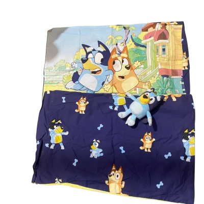 2 x Bluey pillow cases and plushy