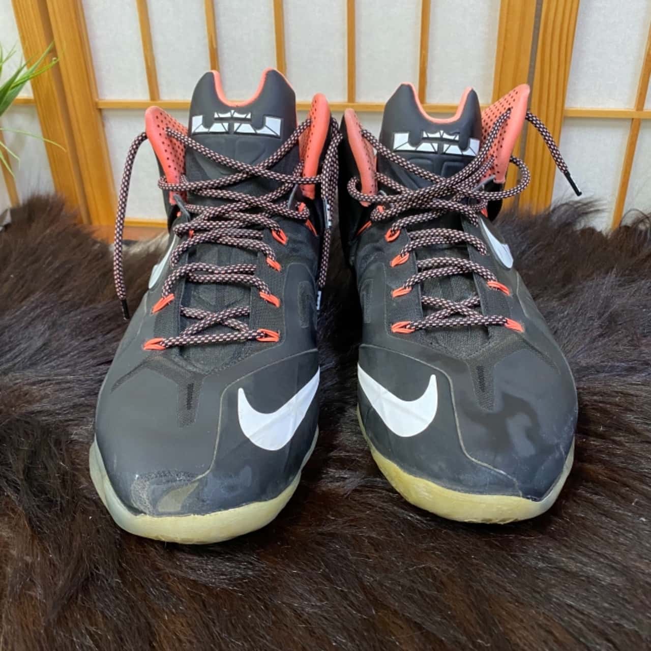 lebron james brown shoes