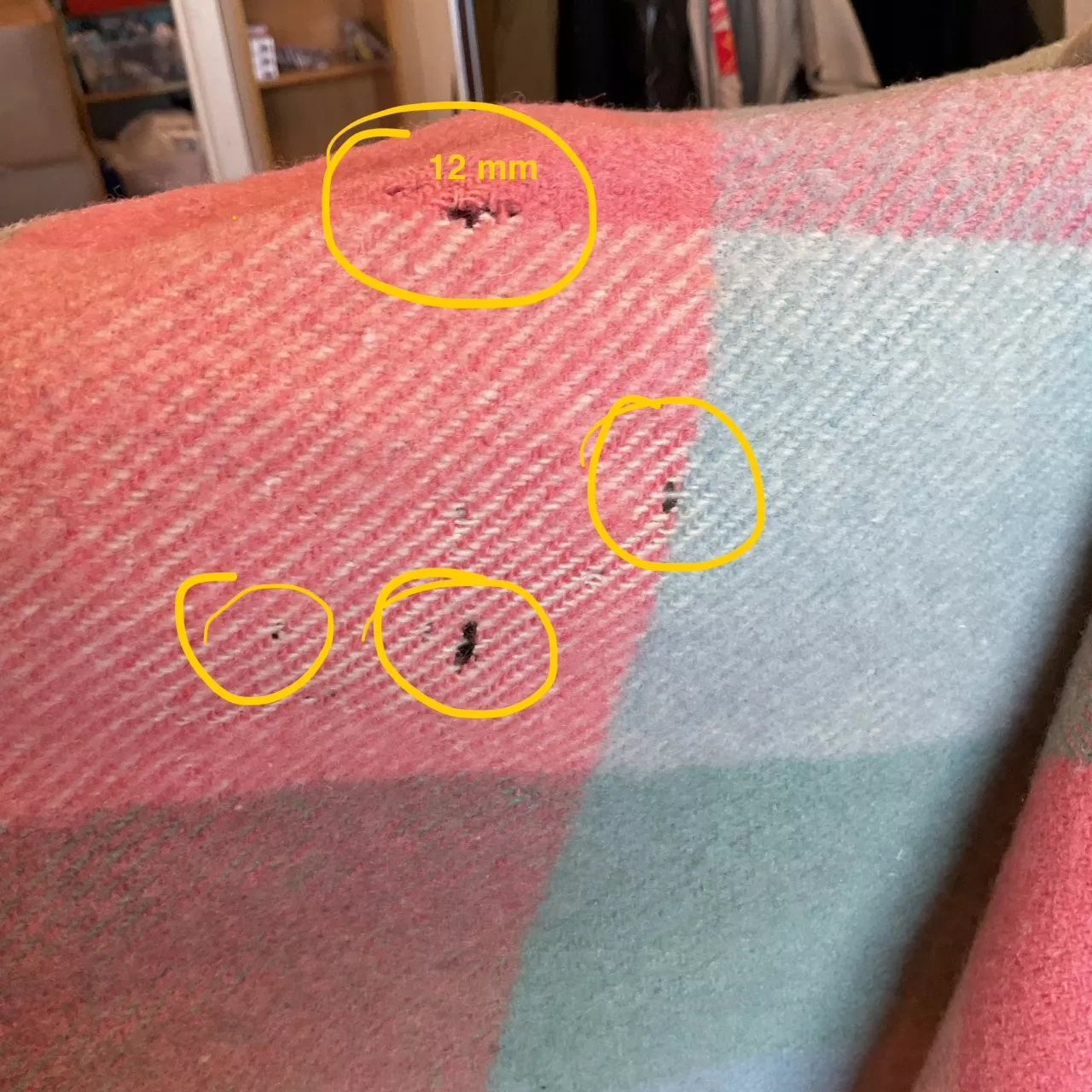 Image Tester