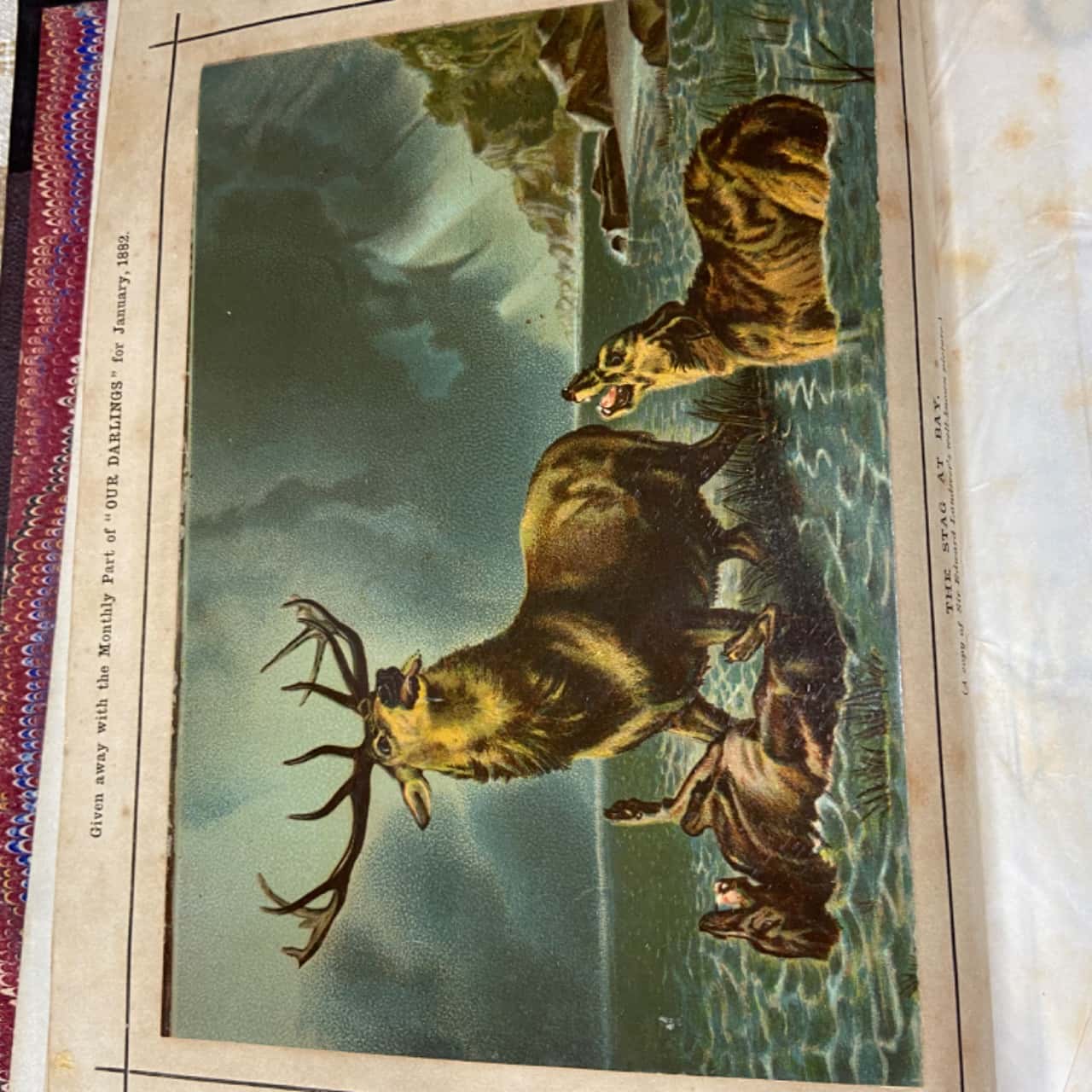 Treasury Collection “Our Darlings” The Children’s Treasury Collection(s) - Used Good ...