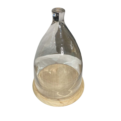 Large glass dome on wooden board 