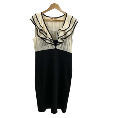 Review Womens  Size 14 Ruffle Chiffon Dress 