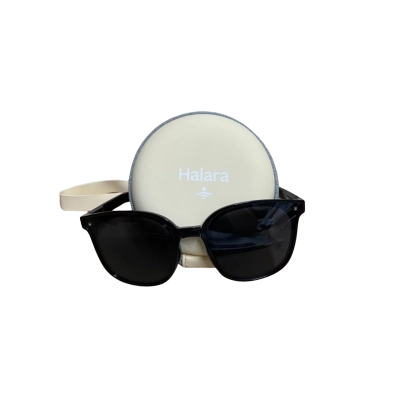 Halara Sunglasses with Case 