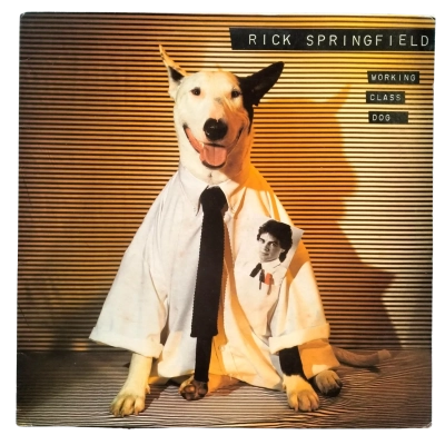 Rick Springfield - Working Class Dog. Label: RCA Victor – AYL1-4766 Format: Vinyl, LP, Album, Reissue, Stereo. Released: 1981 Genre: Rock, Pop Style: Pop Rock