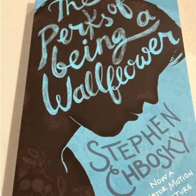 The perks of being a wallflower- Stephen Chbosky 