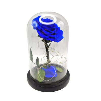 New In Gift Box Preserved Flower - Rose In Glass Dome - See Pics For Item Details  (brica shelf)