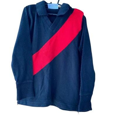 AFL Kids Essendon Footy  Jumper Size 6 (60-65cm Chest) 