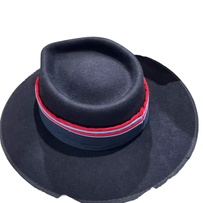 Statesman Mens Cowboy Hat Navy Blue 