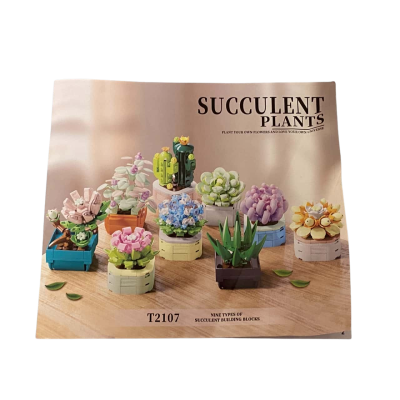 Succulent Plants Building Blocks - 9 Plants